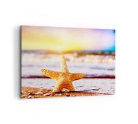 Impression sur Toile 120x80cm Tableaux Image Étoiles de mer plage sable océan