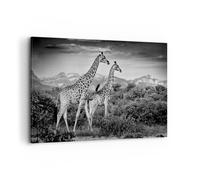 ARTTOR Tableau Décoratif sur Toile 120x80 cm Afrique Noir et Blanc - 4441