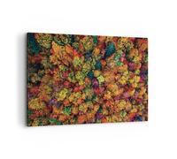 Impression sur Toile 120x80cm Tableaux Image L'Automne Point De Vue Aviaire