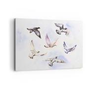 Impression sur Toile 120x80cm Tableaux Image Oiseaux aquarelle sauvagerie vol