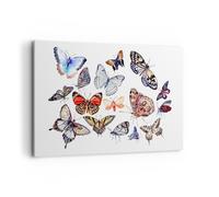 Impression sur Toile 120x80cm Tableaux Image Papillons illustration ailes