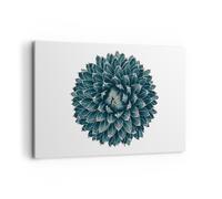 Impression sur Toile 120x80cm Tableaux Image Photo Agave Reine Victoria
