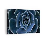 Impression sur Toile 120x80cm Tableaux Image Photo Bleu Cactus Fleur Decoration