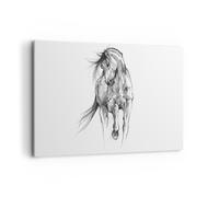 Impression sur Toile 120x80cm Tableaux Image Photo Cheval Galop Des Animaux
