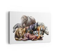 Impression sur Toile 120x80cm Tableaux Image Photo Les animaux koala lion singe