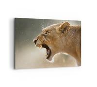 Impression sur Toile 120x80cm Tableaux Image Photo Lion Lionne Crocs Decoration