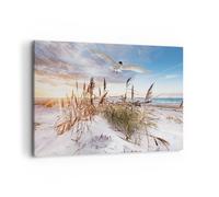 Impression sur Toile 120x80cm Tableaux Image Photo Mouette Mer Côte Decoration