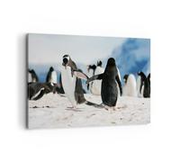 Impression sur Toile 120x80cm Tableaux Image Photo Pingouins Hiver nature neige