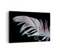 Impression sur Toile 120x80cm Tableaux Image Plume Les Couleurs La Délicatesse