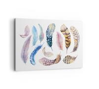 Impression sur Toile 120x80cm Tableaux Image Plumes oiseaux animaux composition
