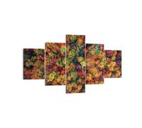 Impression sur Toile 125x70cm Tableaux Image L'Automne Point De Vue Aviaire
