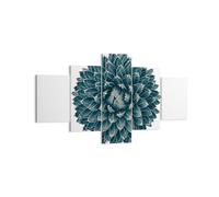 Impression sur Toile 125x70cm Tableaux Image Photo Agave Reine Victoria