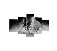 Impression sur Toile 125x70cm Tableaux Image Photo Andalouse Chevaux Galop