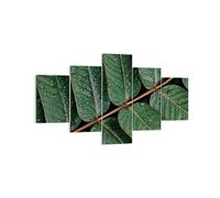 Impression sur Toile 125x70cm Tableaux Image Photo Gouttes Eau Feuilles