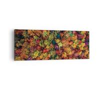 Impression sur Toile 140x50cm Tableaux Image L'Automne Point De Vue Aviaire