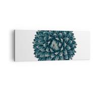 Impression sur Toile 140x50cm Tableaux Image Photo Agave Reine Victoria