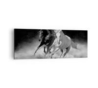 Impression sur Toile 140x50cm Tableaux Image Photo Andalouse Chevaux Galop