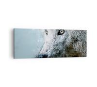 Impression sur Toile 140x50cm Tableaux Image Photo Blanc Le Loup Image