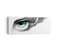 Impression sur Toile 140x50cm Tableaux Image Photo Oeil Plume Croquis humain