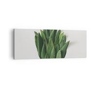 Impression sur Toile 140x50cm Tableaux Image Photo Sauge Médical Feuilles