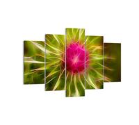 Impression sur Toile 150x100cm Tableaux Image Graphisme fleur plante lumière