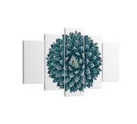 Impression sur Toile 150x100cm Tableaux Image Photo Agave Reine Victoria
