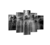 Impression sur Toile 150x100cm Tableaux Image Photo Arbres Dans Brouillard
