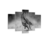 Impression sur Toile 150x100cm Tableaux Image Photo Cheval Galop Dynamique