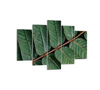 Impression sur Toile 150x100cm Tableaux Image Photo Gouttes Eau Feuilles