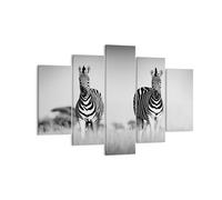 Impression sur Toile 150x100cm Tableaux Image Zèbres Photographie Noir Et Blanc