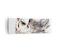 Impression sur Toile 160x50cm Tableaux Chouette plumes la sagesse la nature