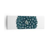 Impression sur Toile 160x50cm Tableaux Image Photo Agave Reine Victoria