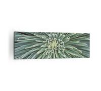 Impression sur Toile 160x50cm Tableaux Image Photo Agave Vert Plante Decoration