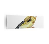 Impression sur Toile 160x50cm Tableaux Image Photo Chardonneret Oiseau Aquarelle