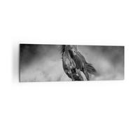 Impression sur Toile 160x50cm Tableaux Image Photo Cheval Galop Dynamique