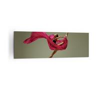 Impression sur Toile 160x50cm Tableaux Image Photo Danseur ballet artiste