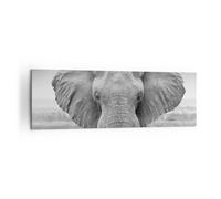 Impression sur Toile 160x50cm Tableaux Image Photo Éléphant Afrique Des Animaux