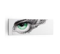 Impression sur Toile 160x50cm Tableaux Image Photo Oeil Plume Croquis humain
