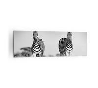 Impression sur Toile 160x50cm Tableaux Image Zèbres Photographie Noir Et Blanc