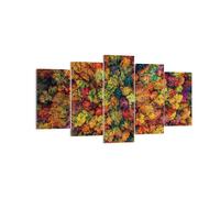 Impression sur Toile 160x85cm Tableaux Image L'Automne Point De Vue Aviaire