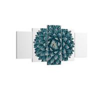 Impression sur Toile 160x85cm Tableaux Image Photo Agave Reine Victoria