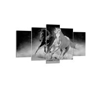 Impression sur Toile 160x85cm Tableaux Image Photo Andalouse Chevaux Galop