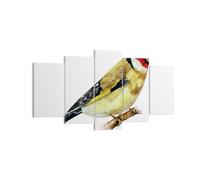 Impression sur Toile 160x85cm Tableaux Image Photo Chardonneret Oiseau Aquarelle