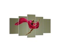 Impression sur Toile 160x85cm Tableaux Image Photo Danseur ballet artiste
