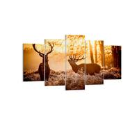 Impression sur Toile 160x85cm Tableaux Image Photo Deer bruyère animaux