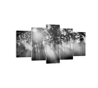 Impression sur Toile 160x85cm Tableaux Image Photo Forêt Pin Soleil Decoration
