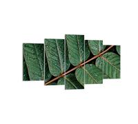Impression sur Toile 160x85cm Tableaux Image Photo Gouttes Eau Feuilles