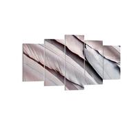 Impression sur Toile 160x85cm Tableaux Image Photo Plumes Aile Plume Decoration