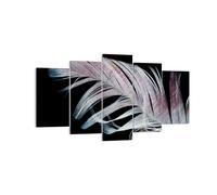 Impression sur Toile 160x85cm Tableaux Image Plume Les Couleurs La Délicatesse
