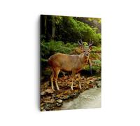 Impression sur Toile 50x70cm Tableaux Image Automne montagne ruisseau paysage